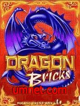 game pic for Dragon Bricks